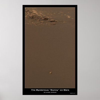The Bunny On Mars â€“ What is it? Poster by Space_Exploration
