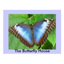 The Butterfly House Postcard