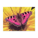 The Butterfly is a Flying Flower
