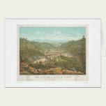 The California Powder Works (1306) cards