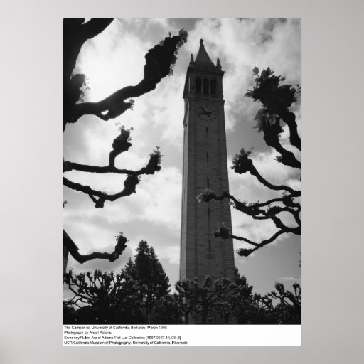 The Campanile, UC Berkeley, 1965 Posters