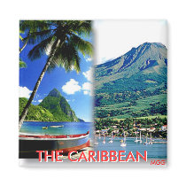 THE CARRI Magnet