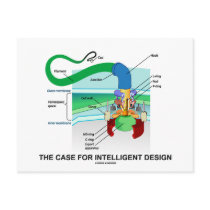 The Case For Intelligent Design (Flagellum)