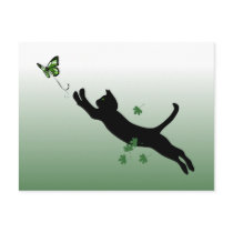 The Cat and the Butterfly Post Card