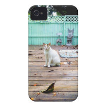 The Cat iPhone 4 Cover