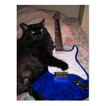 The Cat in Black Guitar Postcard