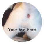 The cat's ass sticker template