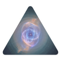The Cat's Eye Nebula Dying Star Gas and Dust Sticker