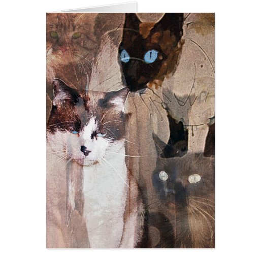 The Cats Greeting Cards