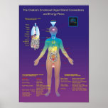 The Chakra Organ / Gland and Energy Flow Print