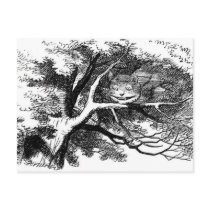 The cheshire cat postcards