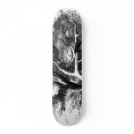 The cheshire cat custom skate board