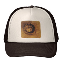 The Chimera [Chimäre] by Symbolist Odilon Redon Mesh Hats