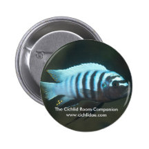 The Cichlid Room Companion - Metriaclima zebra Pins