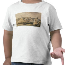 The Citadel of Cairo, from "Egypt and Nubia" Tshirts