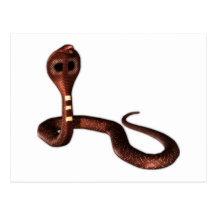 The Cobra, Deadly Snake Post Cards