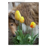 The Collie and the Tulips Greeting Card