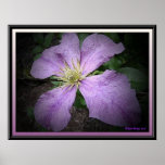 The Color Purple Posters