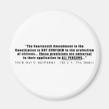 The Constitution Applies to ALL PERSONS Magnets