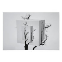 The Continuum Photographic Print
