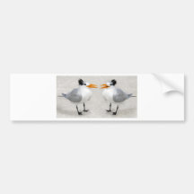 The Conversation.jpg Bumper Sticker