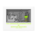 The Copenhagen Interpretation Of Quantum Mechanics