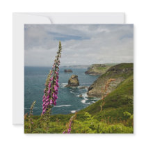 The Cornish Coast Custom Announcements