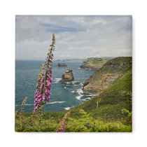 The Cornish Coast Refrigerator Magnets