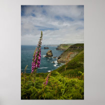 The Cornish Coast Posters