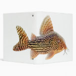 The Corydoras Sterbai Catfish Binder