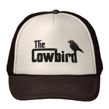 The Cowbird Hats