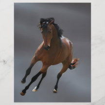 The cowboy horse called Riboking Custom Flyer