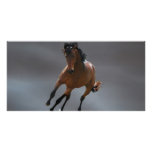 The cowboy horse called Riboking Custom Photo Card