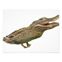 The Crocoduck Custom Invitations