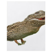 The Crocoduck