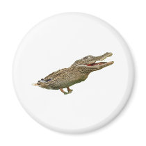 The Crocoduck