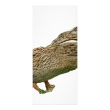 The Crocoduck Rack Card