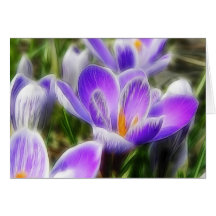 The Crocus Patch Card