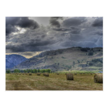 The Crop is in. Post Card from Midway B.C.