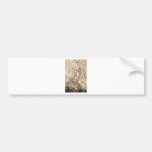 The Crutched Friar Public House Bumper Sticker