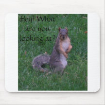 The curious squirel mouse pad