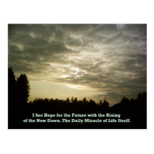 The Daily Miracle postcard
