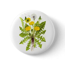 The Dandelion Collection Pinback Buttons