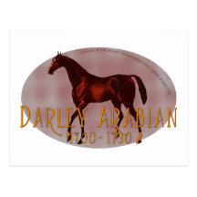 The Darley Arabian Post Card
