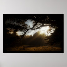 The Dell Print