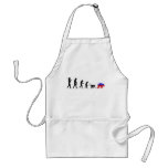 The Democratic Theory of Devolution aprons