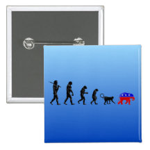 The Democratic Theory of Devolution Pin
