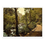 The Devil's Glen. Co. Wicklow, Ireland classic Pho Post Cards