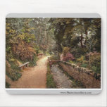 The Dingle, Colwyn Bay, Wales rare Photochrom Mouse Pad