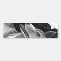 The Dingo Bumper Sticker